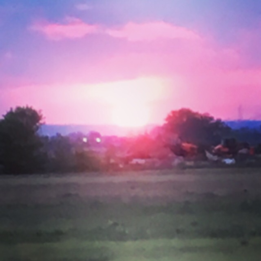 Meet your Posher, Tanya